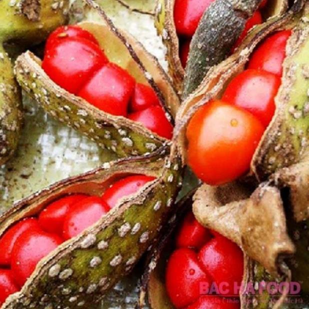 Sản phẩm CÂY DỔI GHÉP CÓ QUẢ SAU 2 NĂM TRỒNG