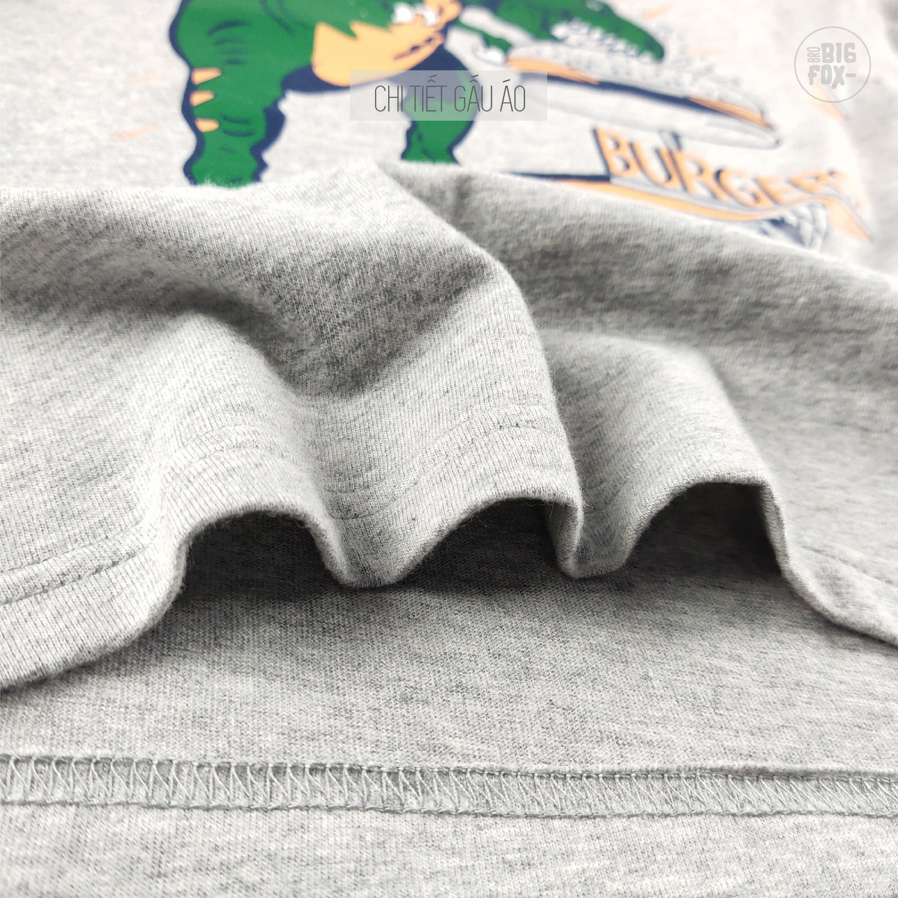 Áo thun bé trai BIGFOX - MISS MEOW size đại, áo cho bé chất cotton phong cách Âu Mỹ in Khủng Long 11 - 40 kg QATE 01