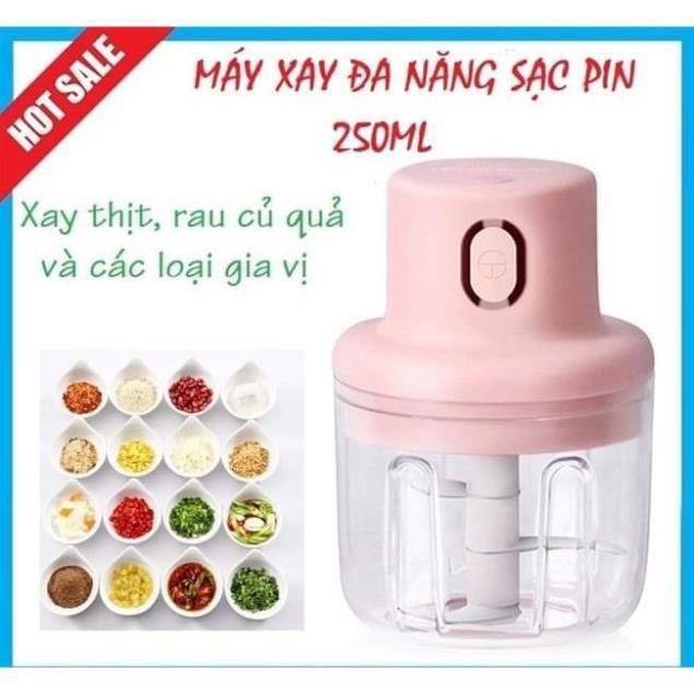 Máy xay điện đa năng cầm tay 250ml, cổng sạc Usb, xay tỏi ớt, xay thịt, xay rau củ quả