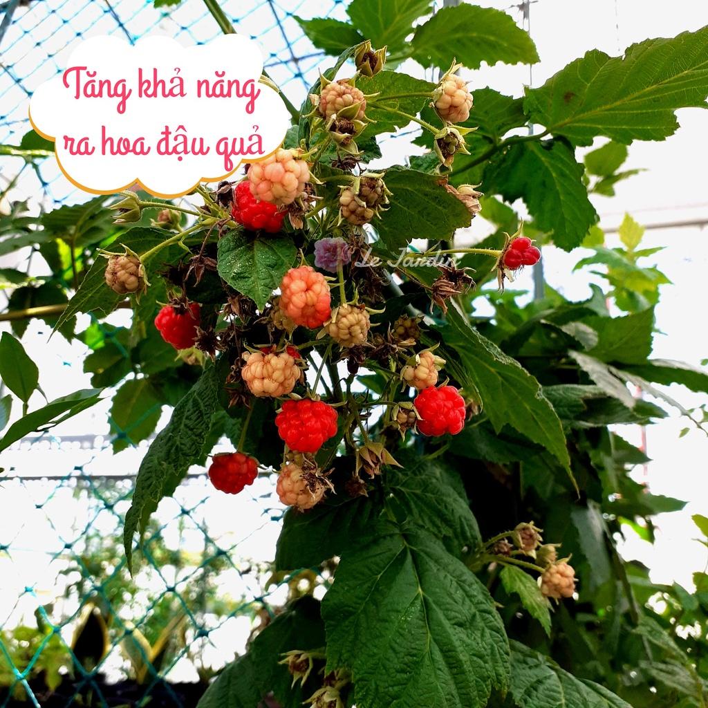 Phân hữu cơ tổng hợp ủ humic dùng kích mầm hoa chai 1L