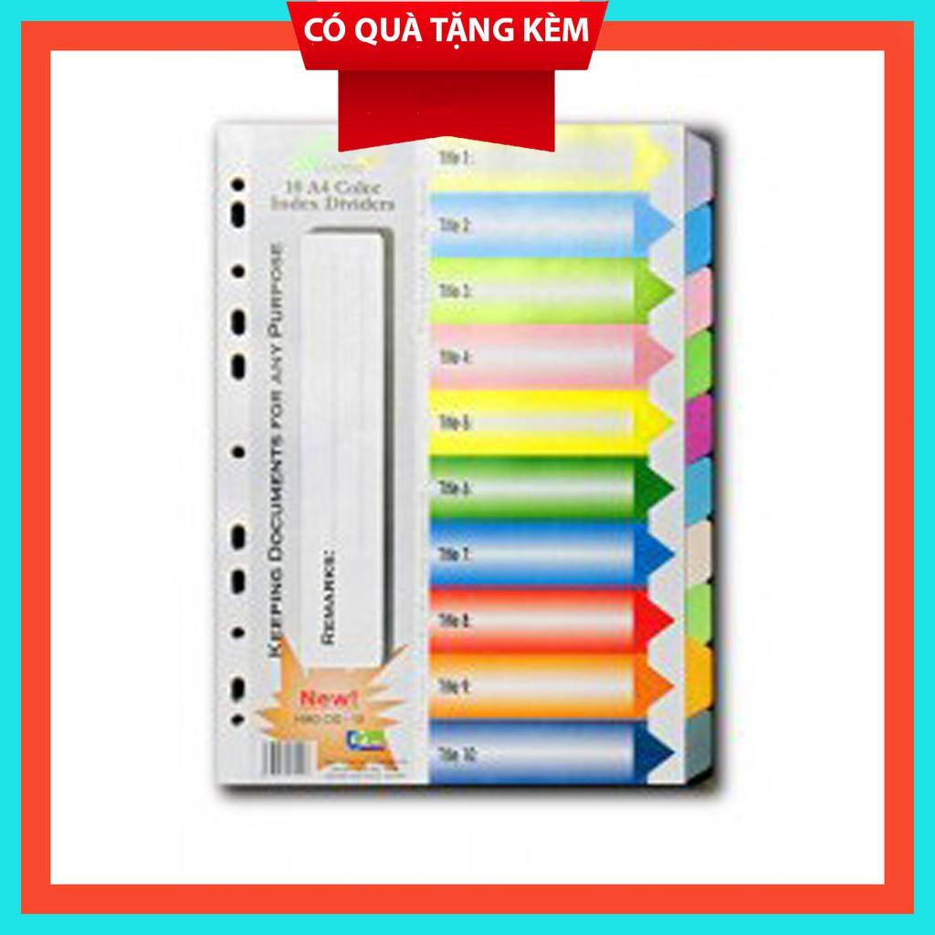 Chia File nhựa 10 màu