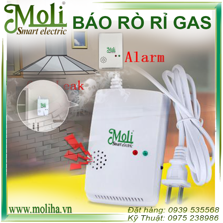 CẢM BIẾN RÒ RỈ GAS MOLI