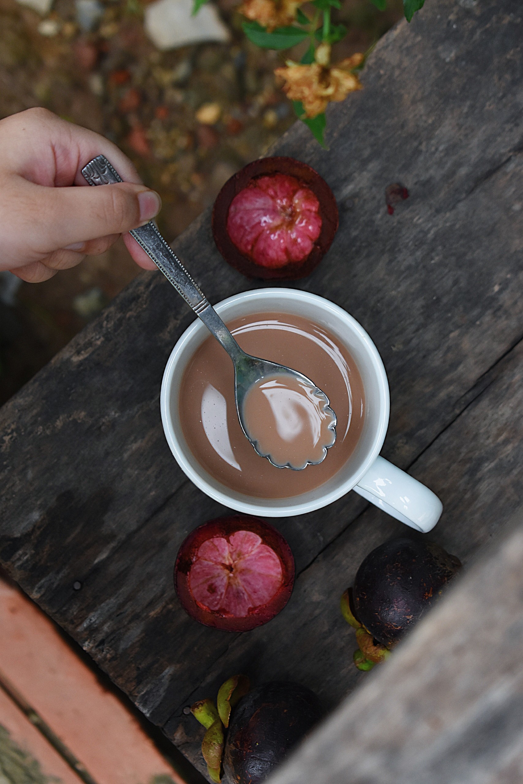 Cacao cà phê hộp 120g - Bột Cacao Thái Bon