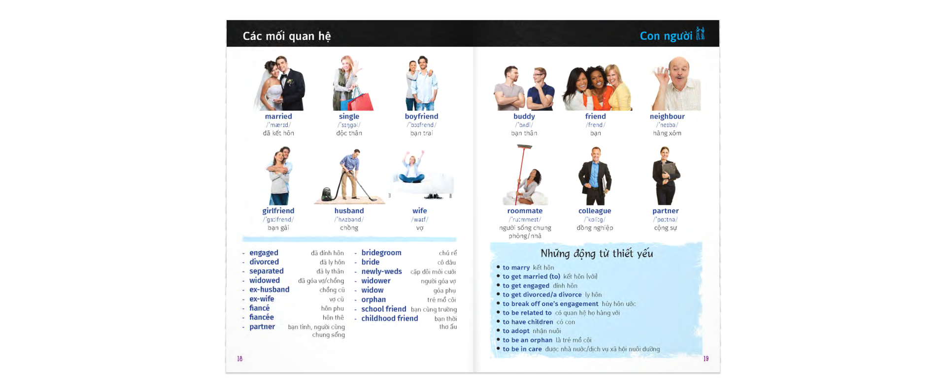 Từ Điển Trực Quan Bỏ Túi Anh-Việt - ảnh 5