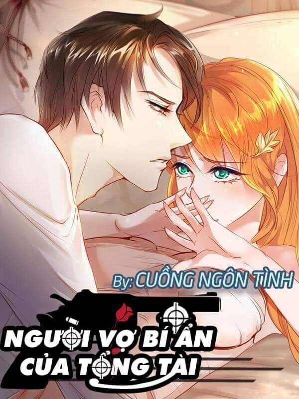 người vợ bí ẩn của tổng tài chapter 20 1
