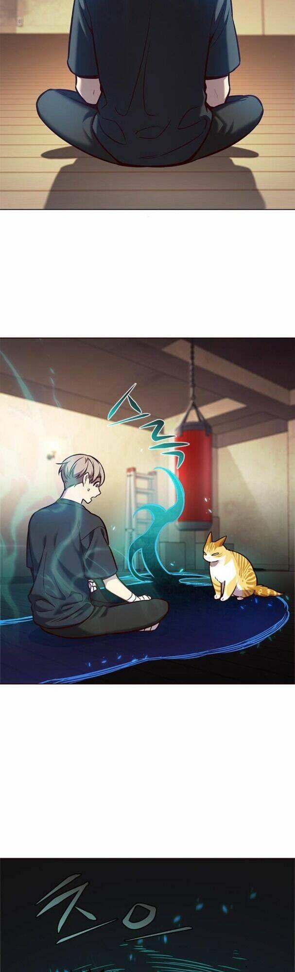 biến thân thành mèo chapter 174 48