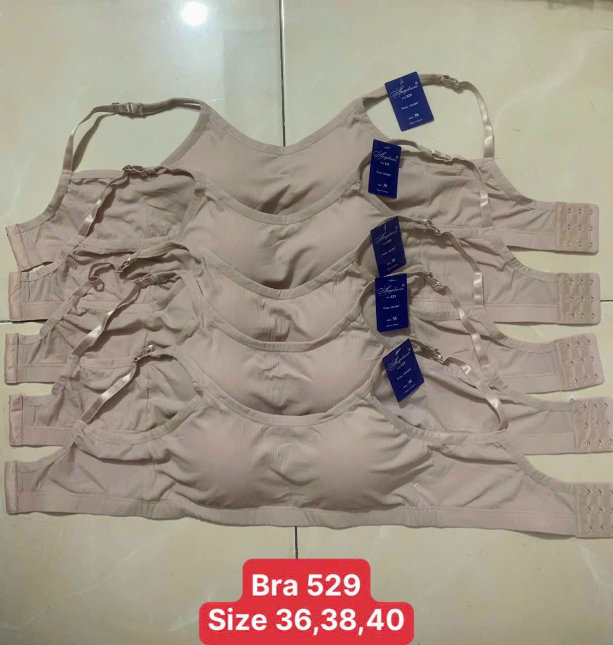 Áo lót nữ Angelavic 529 – Bra thun lạnh tăm, mút liền, cài sau, không gọng, nâng đỡ thoải mái