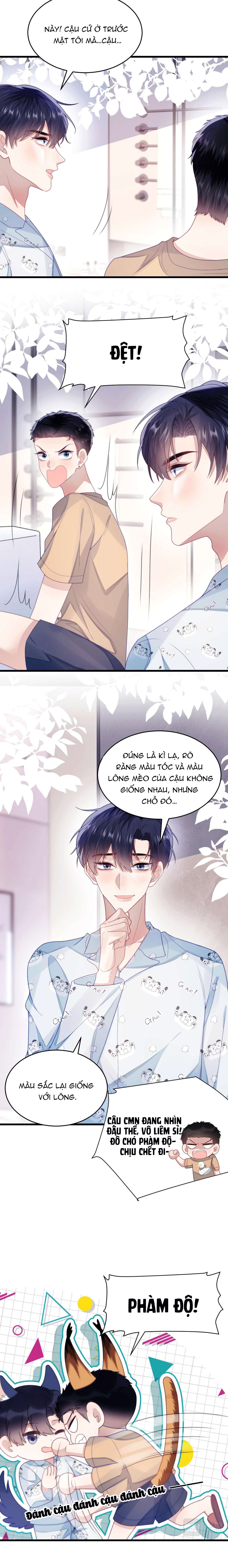 mèo hoang nhỏ của học bá quá chọc người rồi chapter 29 3