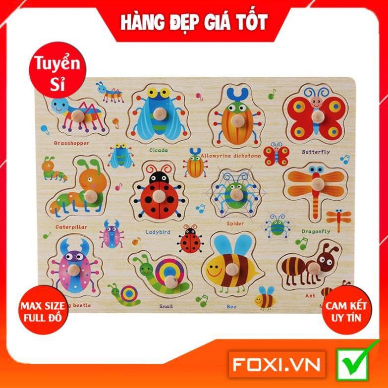 Bảng núm(Loại Nhỏ) Chủ đề giao thông-vũ trụ bao la Foxi-Phát triển khả năng ghi nhớ-tưởng tượng-suy luận-logic