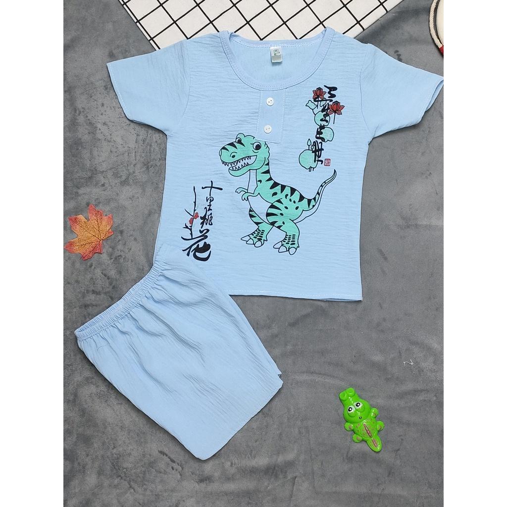 Bộ Đũi Màu Bé Trai (8-18kg) (giao màu ngẫu nhiên