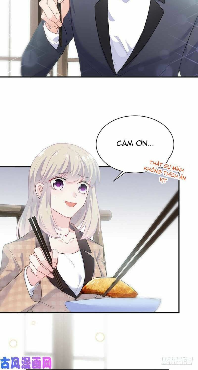 chọc tới chủ tịch tổng tài 2 chapter 94 12