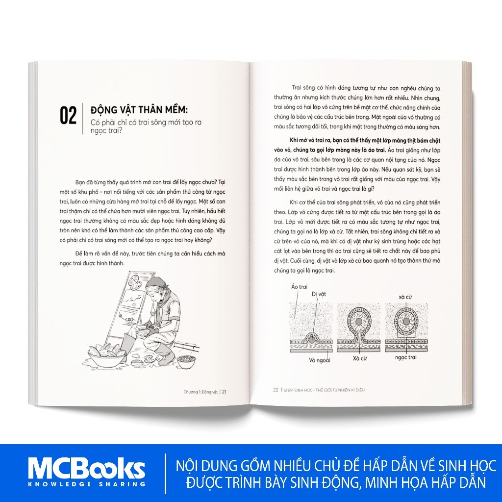 Sách - STEM Sinh Học – Thế Giới Tự Nhiên Kỳ Diệu