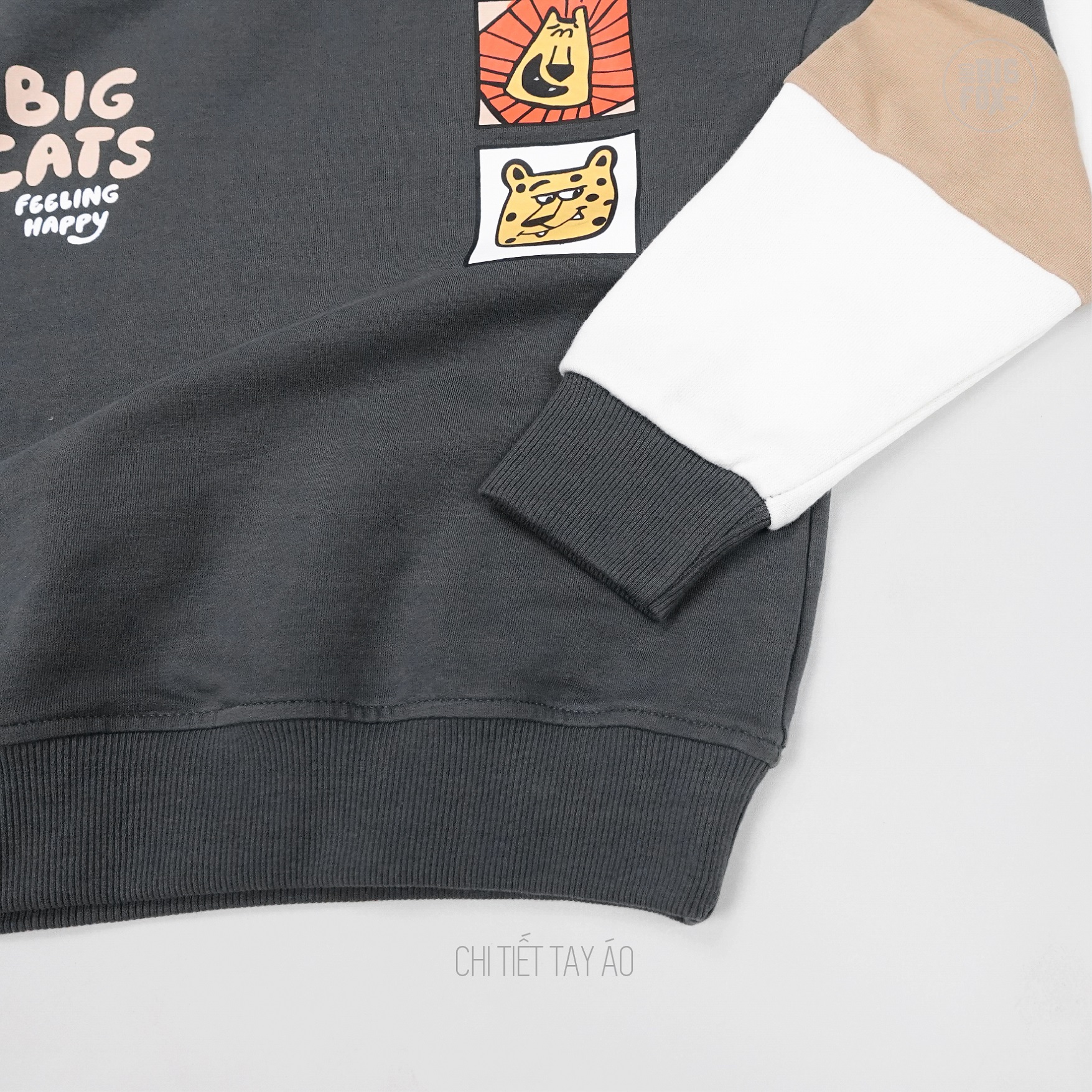 Bộ nỉ thu đông cho bé trai Bigfox Miss Meow size đại dài tay phối màu phom Hàn cỡ trẻ em 3-11 tuổi