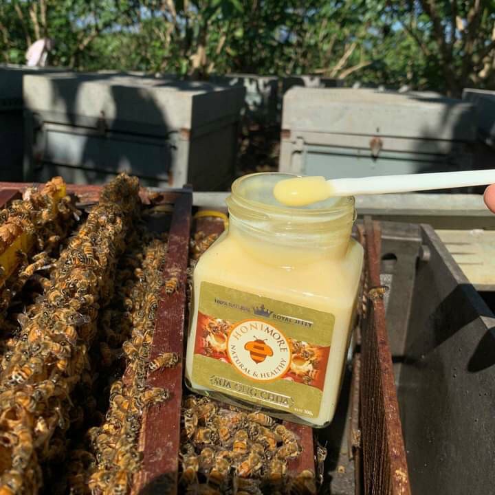 Combo Sữa ong chúa tươi nguyên chất HONIMORE 300g - TẶNG 1 HŨ MẬT ONG NGUYÊN CHẤT 360G - bồi bổ sức khỏe, da căng mịn
