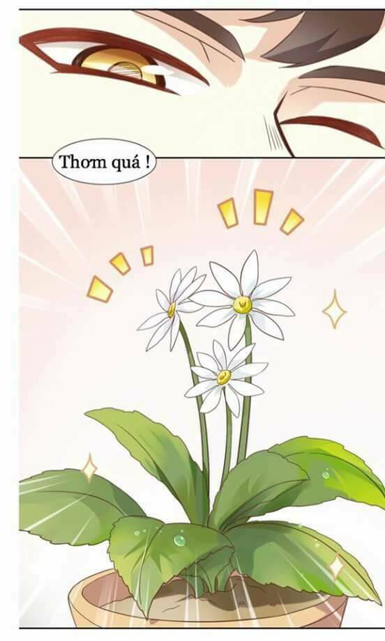 dưới móng vuốt mèo chapter 2 34