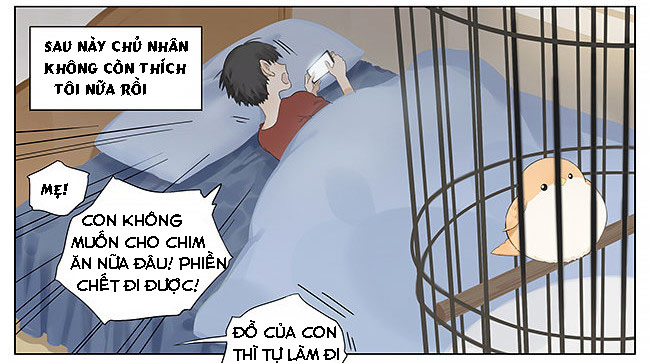 sẻ chiếu mới và nhạn phong sương chapter 10 4