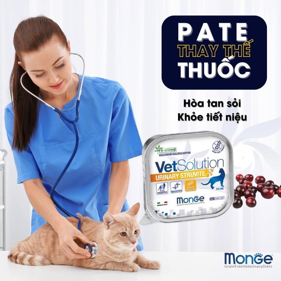 Pate cho mèo bị suy thận, ngăn ngừa sỏi thận (Monge, Ý)