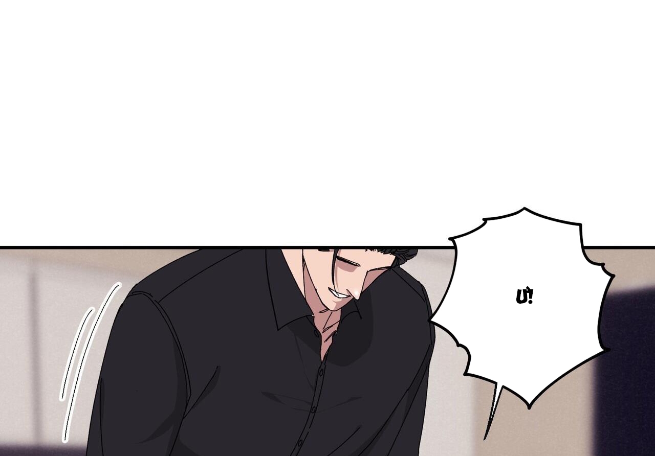 chàng dâu nhà họ kang chapter 33 164