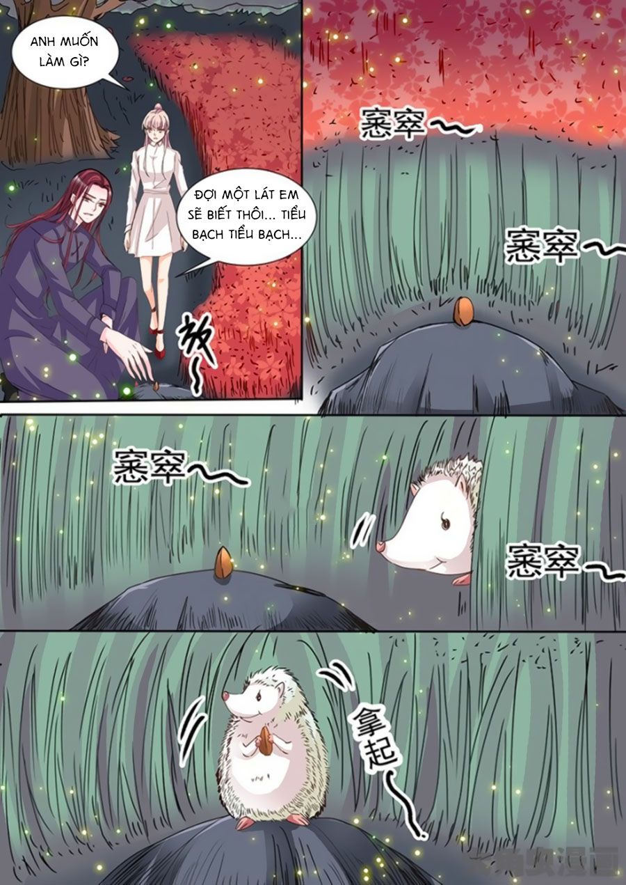 Bá Đạo Tổng Tài Yêu Ta chapter 56 - Trang 4