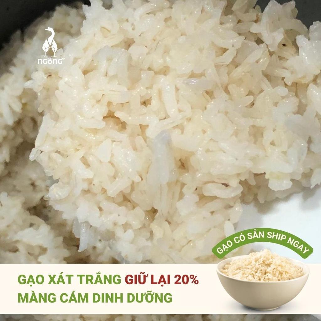 Gạo Ngỗng Sinh Thái ST25 Ruộng Rươi -Tôm Gói 700gr