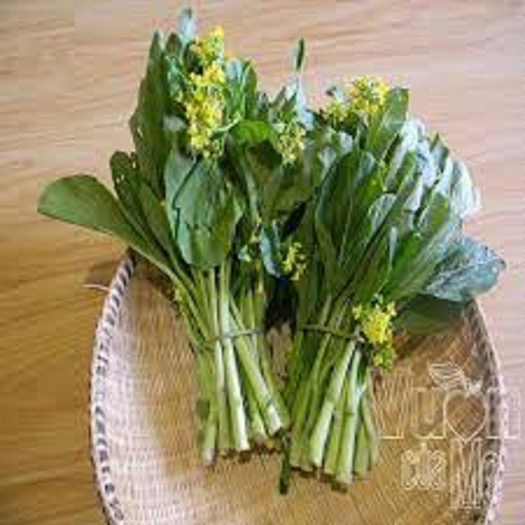 HẠT GIỐNG CÂY CẢI NGỌT BÔNG cao sản