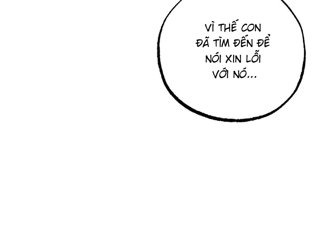 những chú thỏ của hapypy chapter 65 40