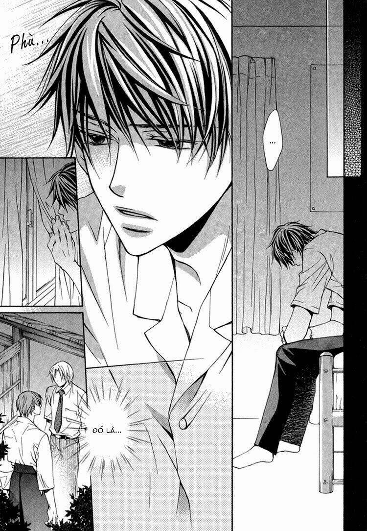 kimi ga koi ni ochiru chapter 5 12