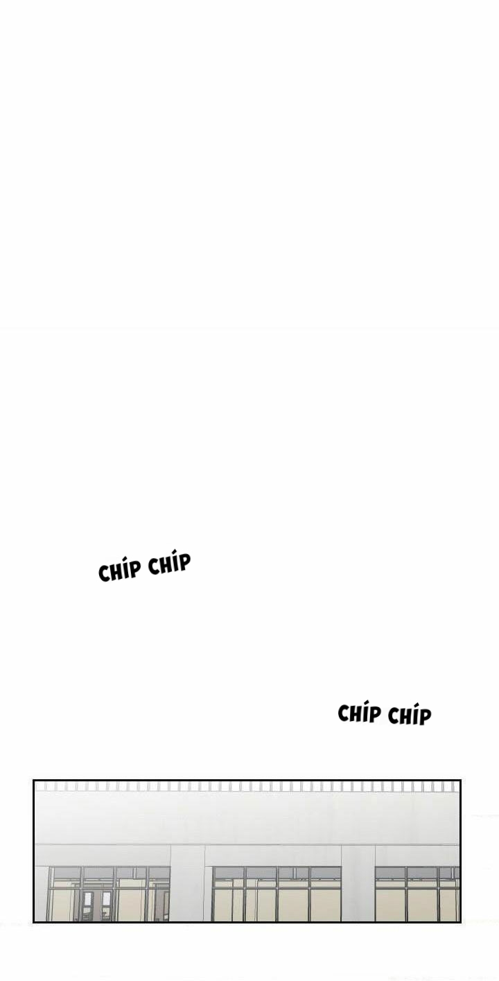 câu lạc bộ câm lặng chapter 6 26