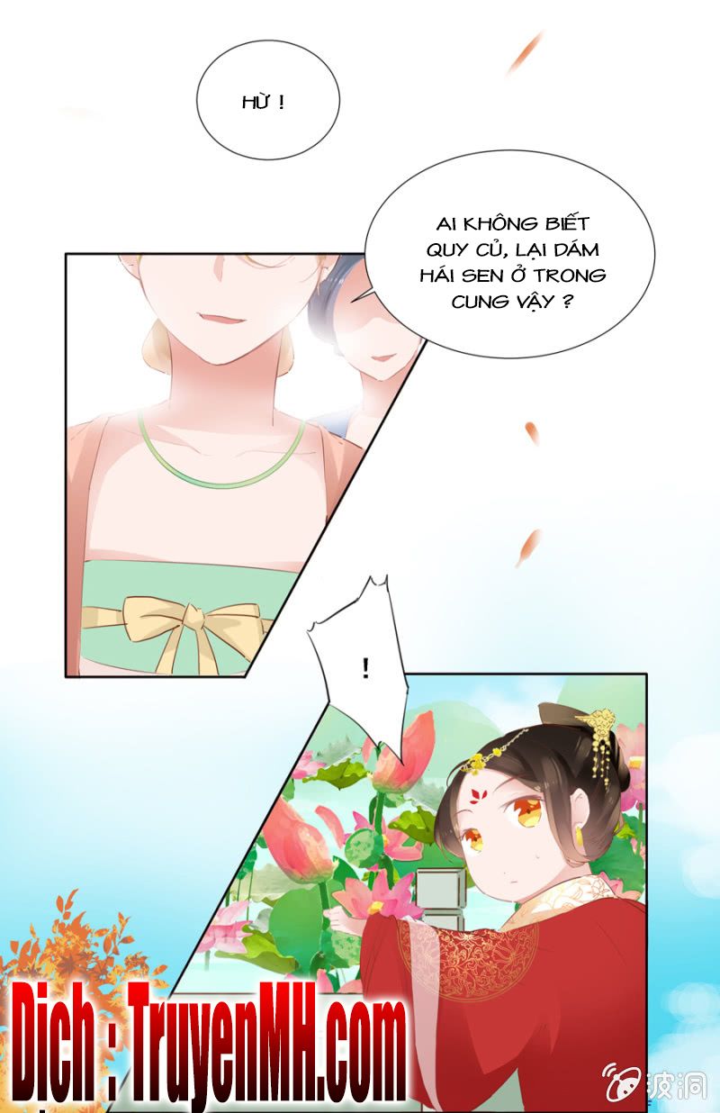 solo đi vương gia chapter 44 15