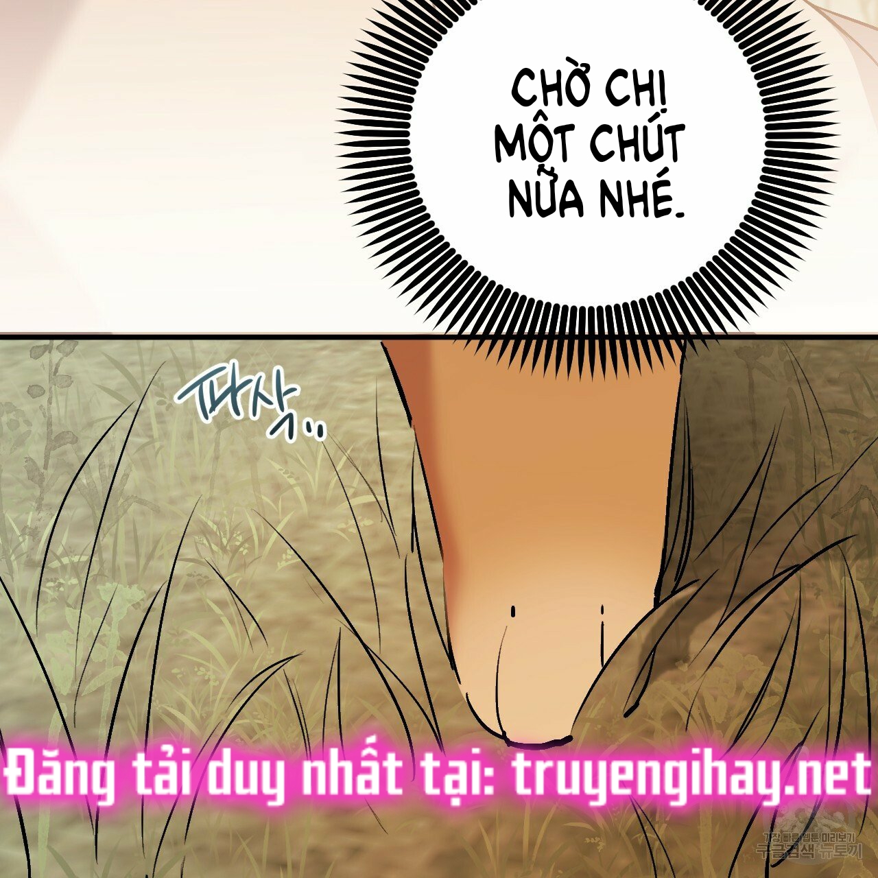 những chú thỏ của hapypy chapter 45 151