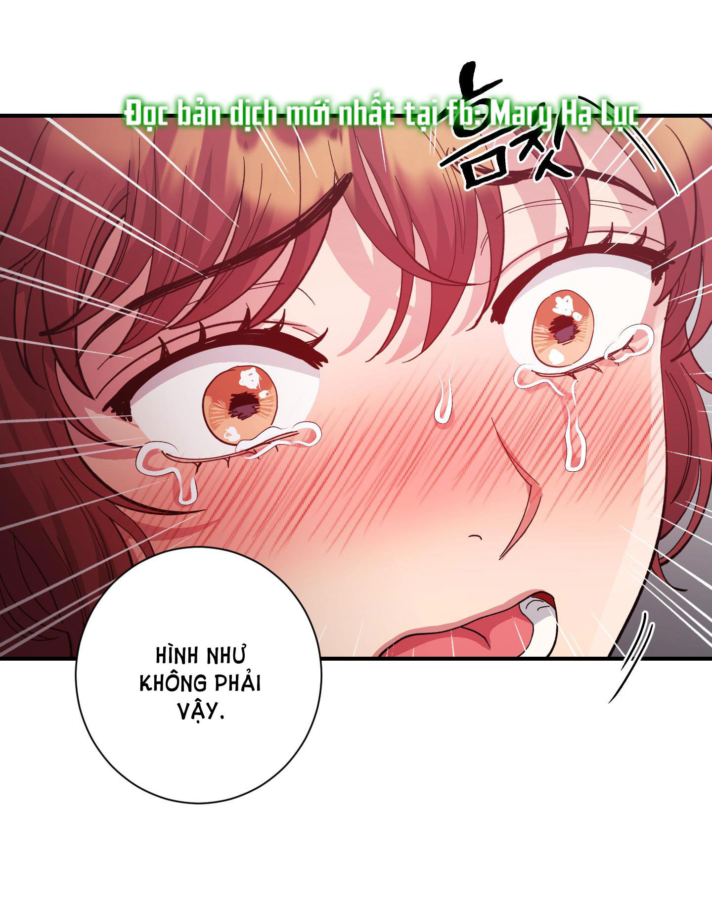 [18+] một lòng một dạ chapter 37.1 35