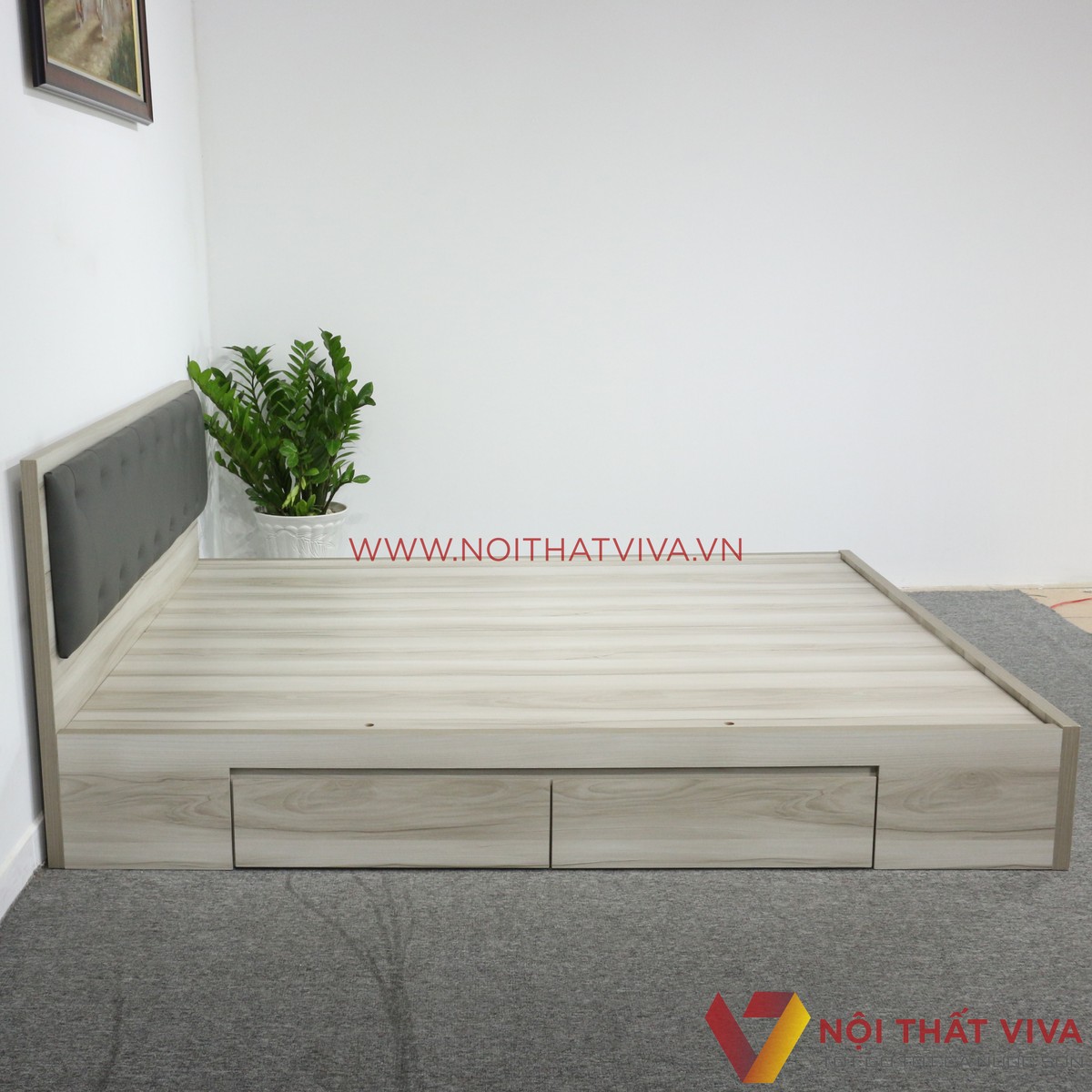 Giường Ngủ MDF Melamine Màu Xám Nhạt Vân Gỗ Có Hộc Kéo + Đầu Nệm Đen Đẹp
