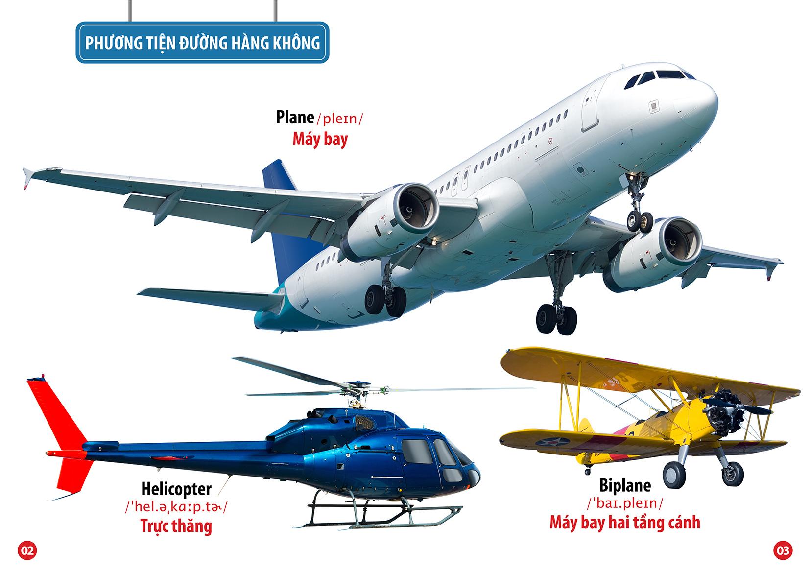 Bộ Sách Từ Điển Bằng Hình: Thế Giới Động Vật + Hoa Quả Rau Củ + Phương Tiện Giao Thông