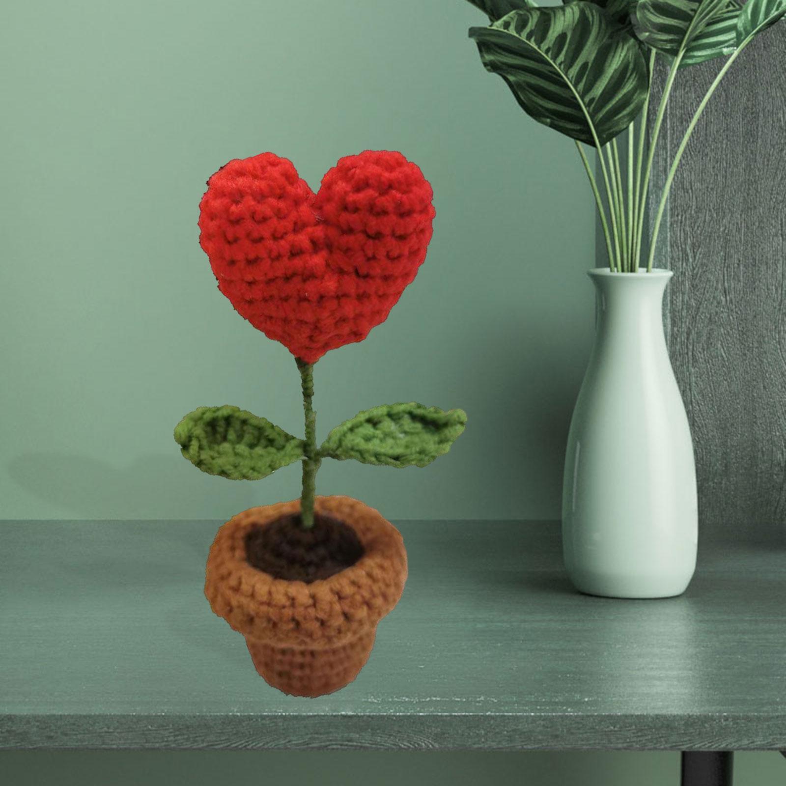 2x Handmade DIY Beginner Crochet Kits for Adults and Kids Starters