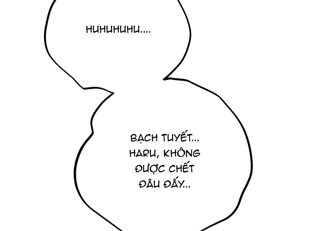 đàn thỏ của habibi chapter 20 243