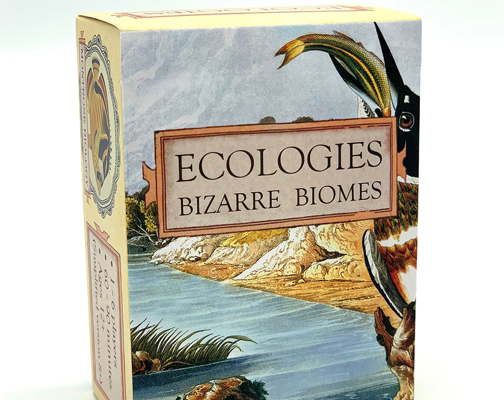 Bộ Bài Ecologies Đá Thanh Tẩy