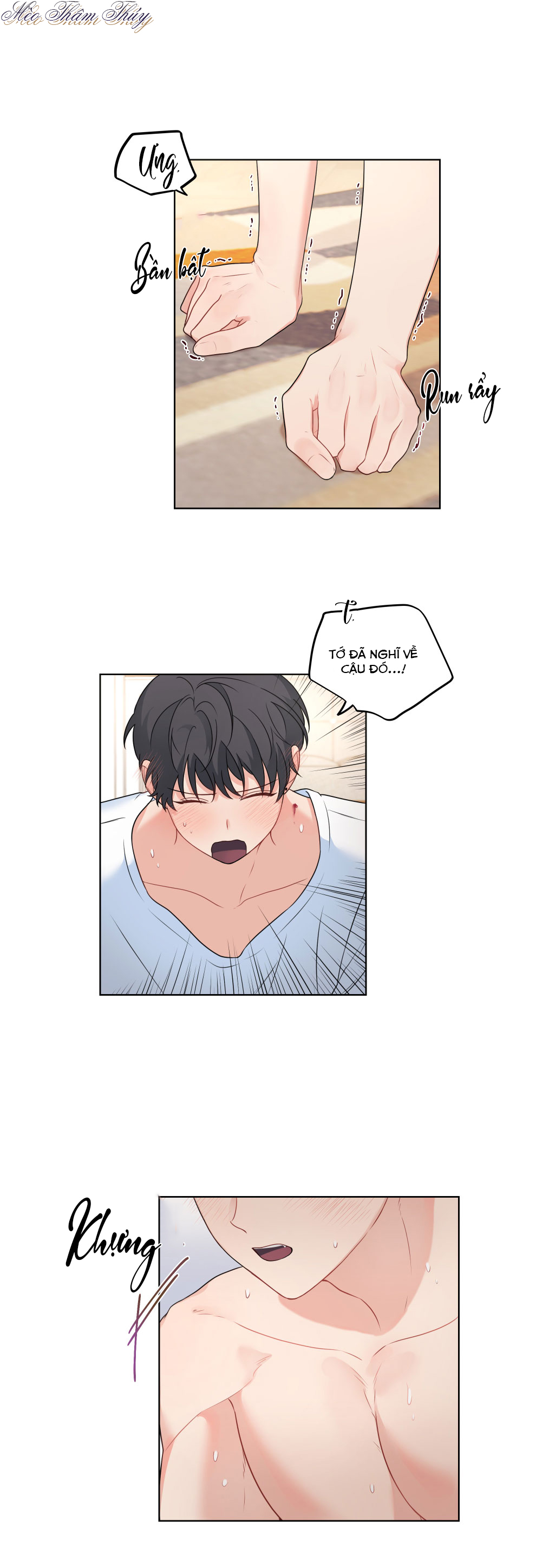 máu và tình yêu chapter 50 12