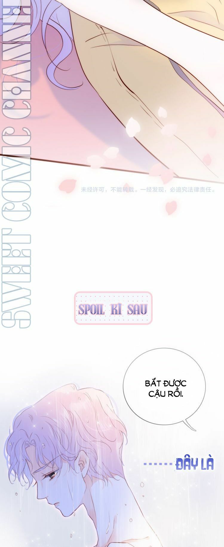 hoa bỏ chạy với nhím rồi chapter 1 74