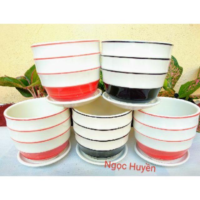 Chậu Trồng Cây Để Bàn -Size Có Đĩa Hứng Nước