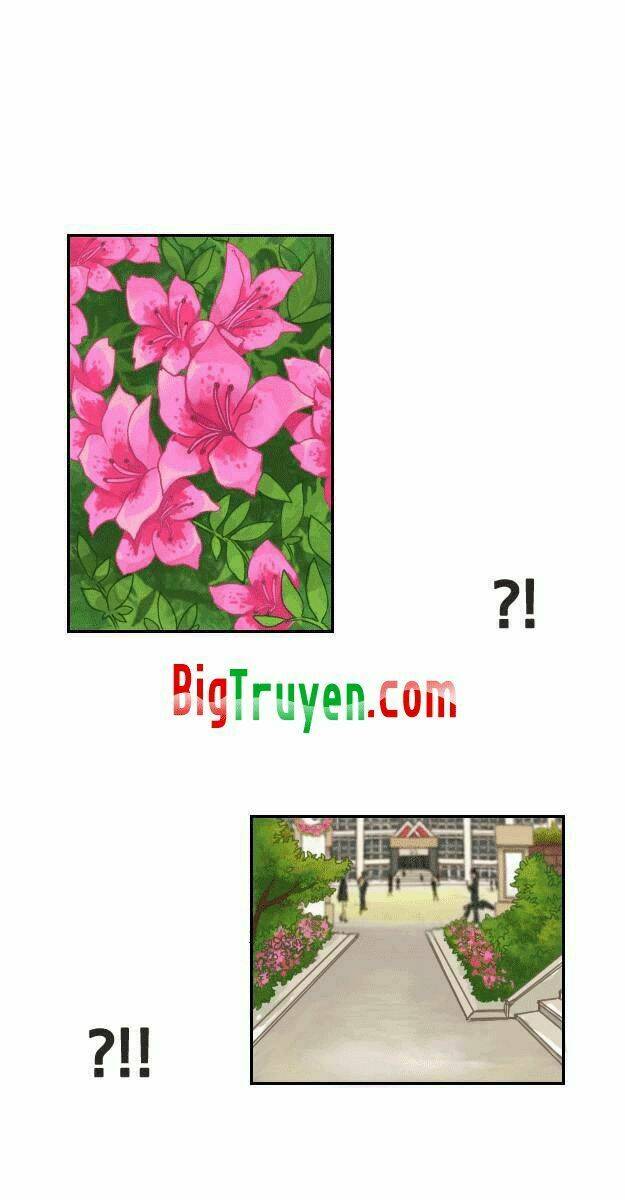 pine in the flower garden chapter 1 27