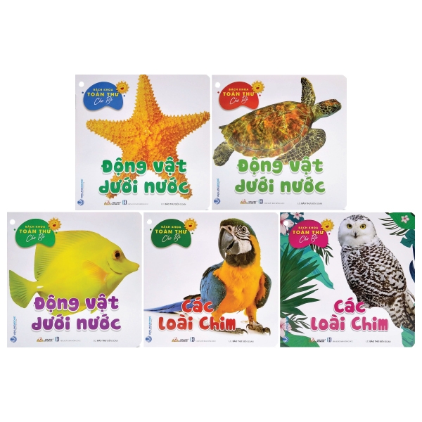 Combo Bách Khoa Toàn Thư Cho Bé - Bộ 10 Cuốn - Vanlangbooks