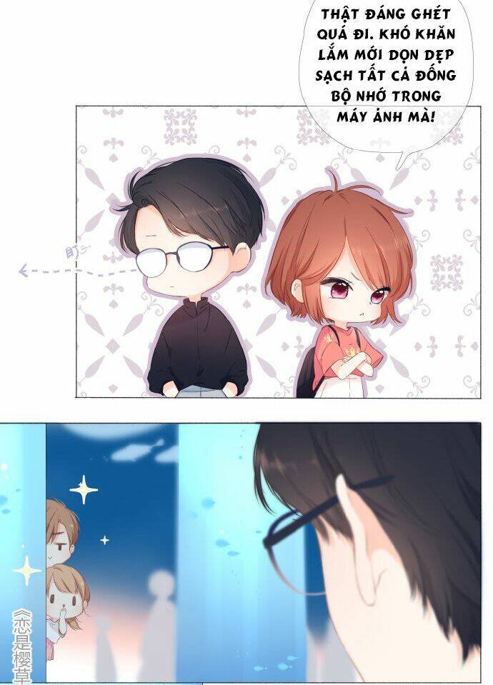 tình yêu sắc anh thảo ( ngoại truyện) chapter 6 14