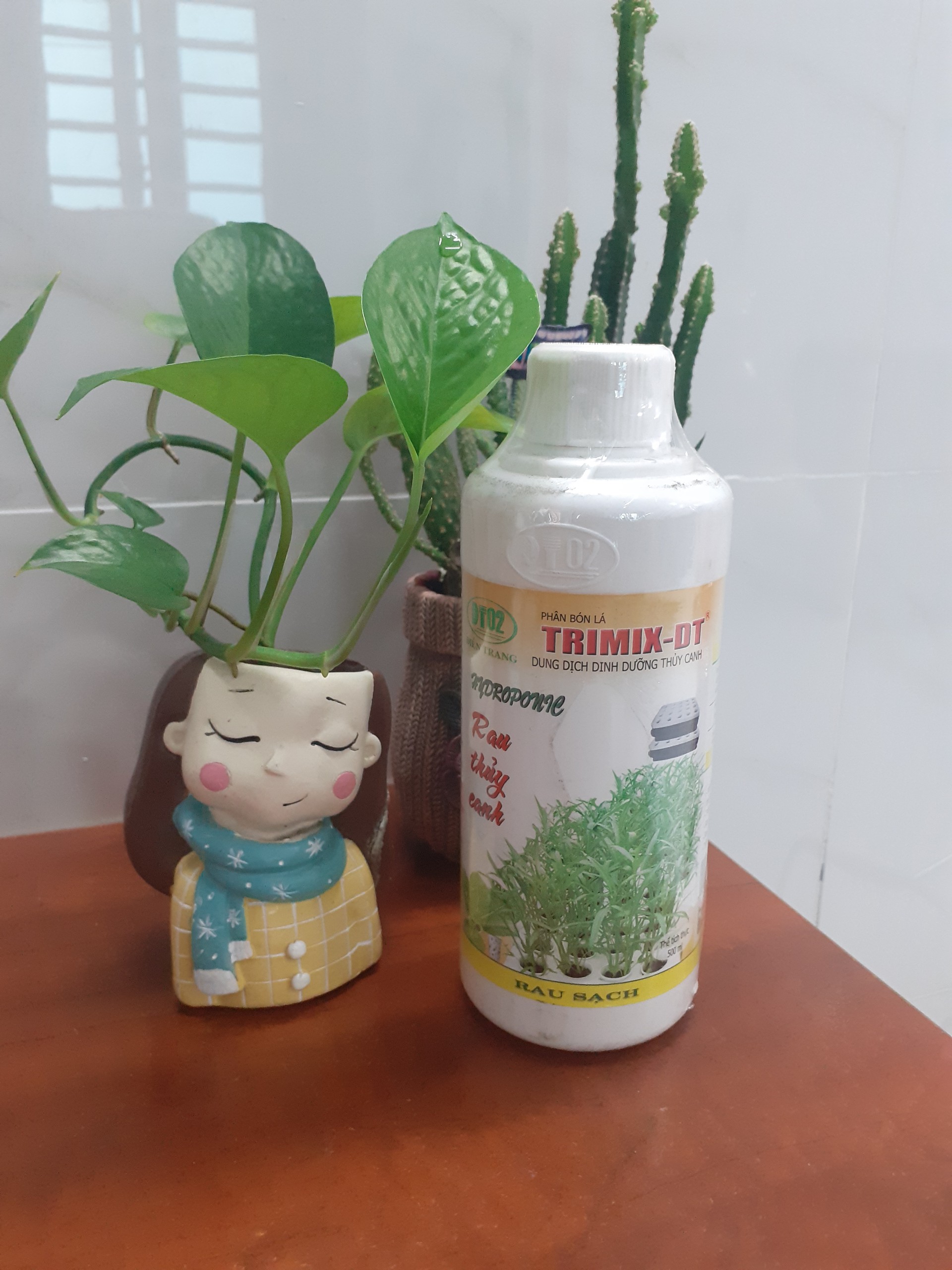 *** Rau Thủy canh trimix dt – chai 500ml ***