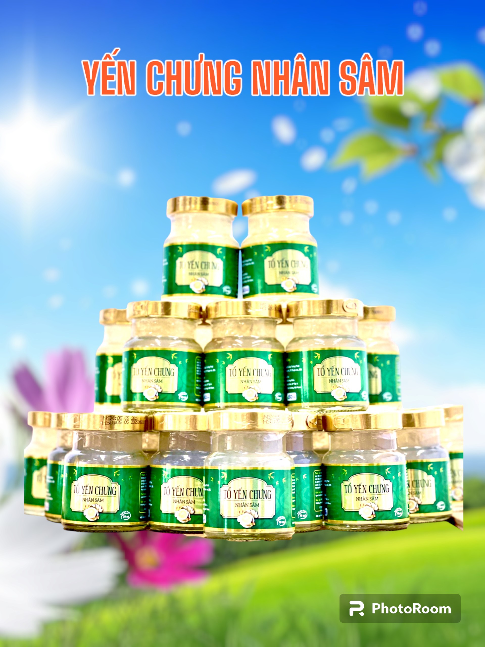 set 6 hủ yến Nhân Sâm