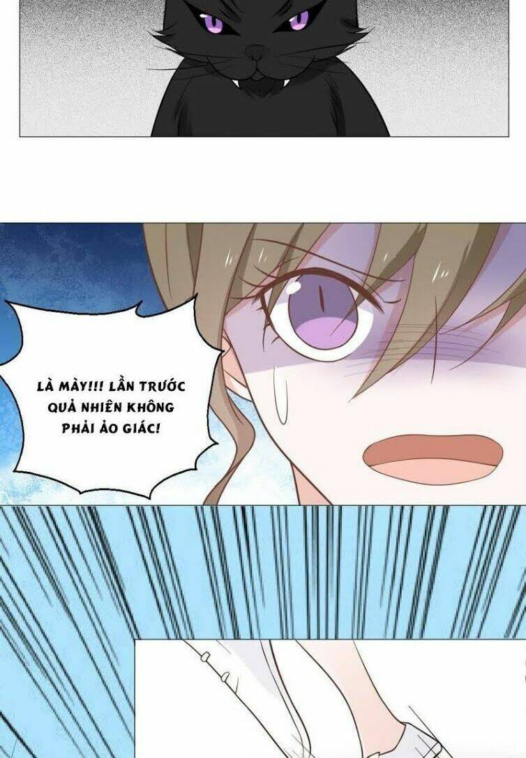 thập nhị hắc miêu chapter 10 18