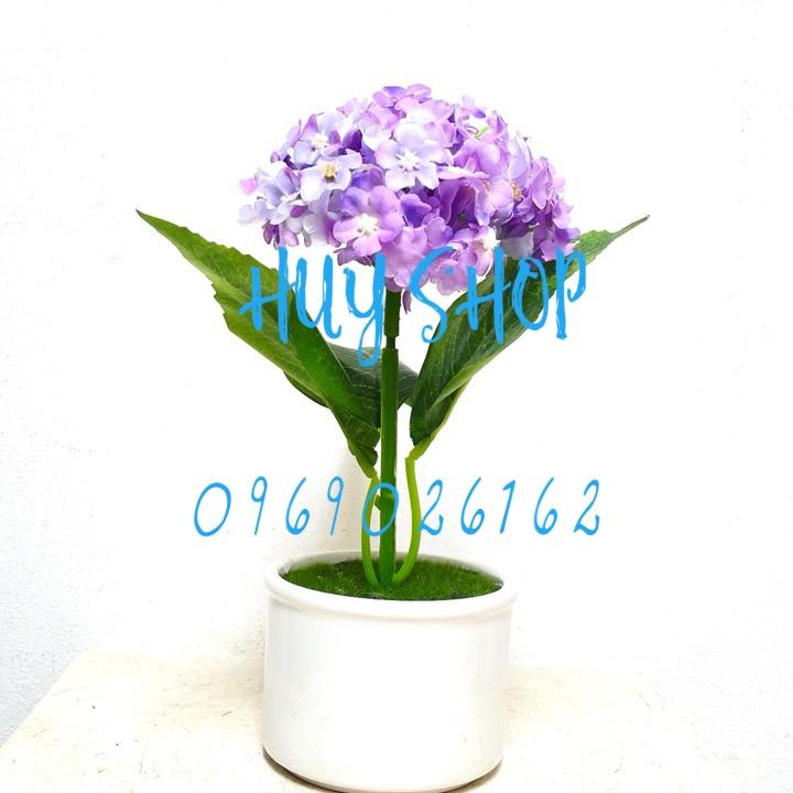 Lọ Hoa CẨM TÚ CẦU Sao nhân tạo trang trí nhà cửa