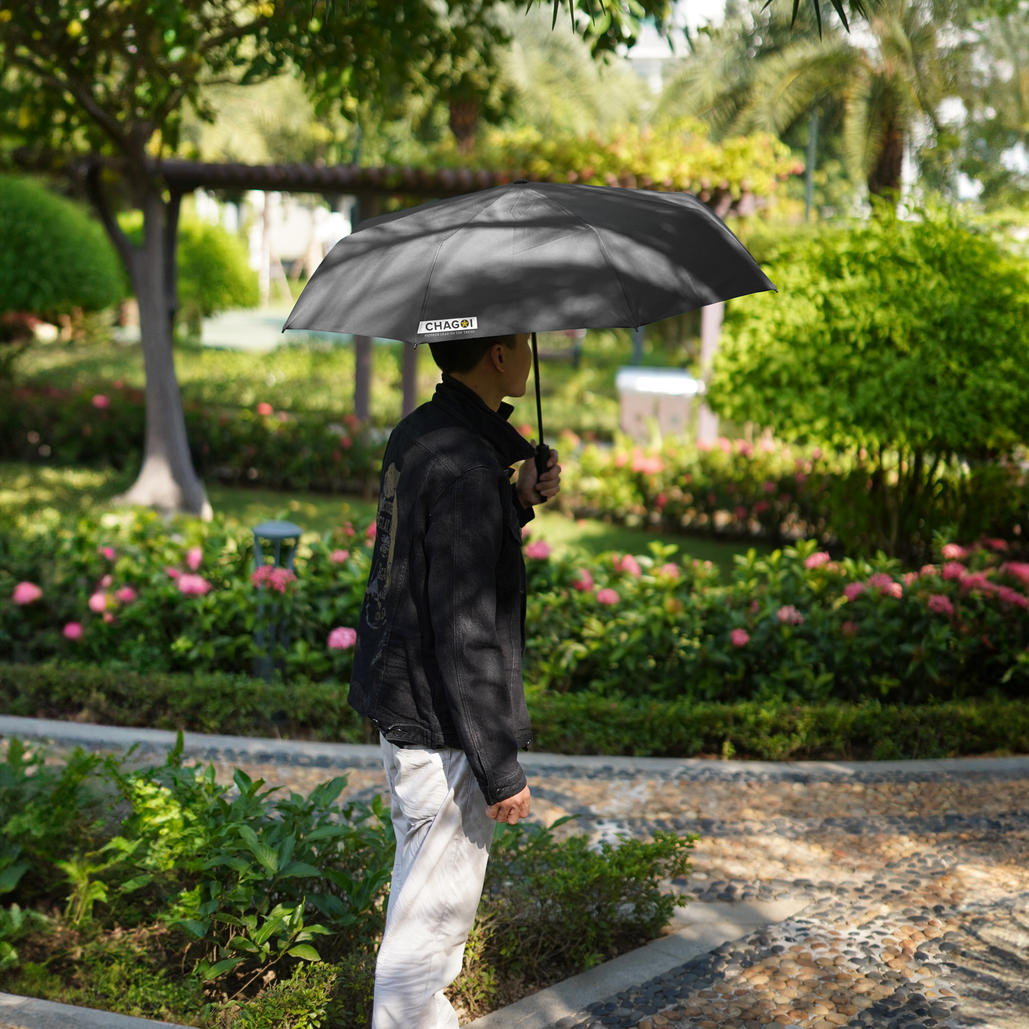 Dù tự động gấp gọn Nason Umbrella Chagoi cán gỗ hiếm, khắc tên, logo dát vàng, dù gấp gọn che nắng che mưa chống tia UV