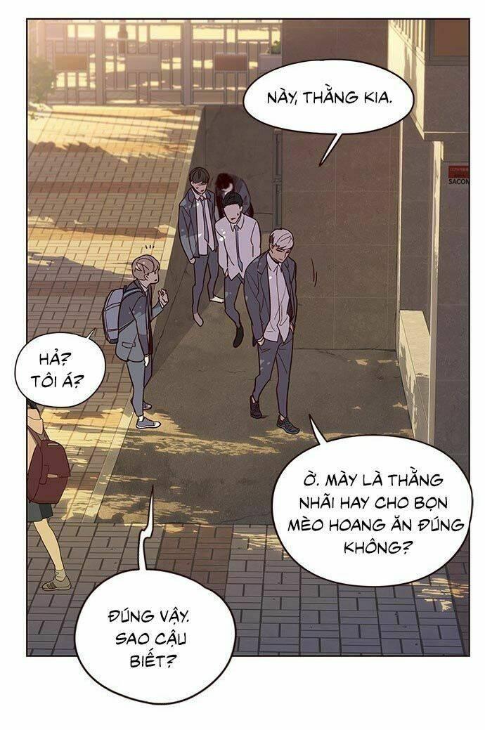 biến thân thành mèo chapter 9 55