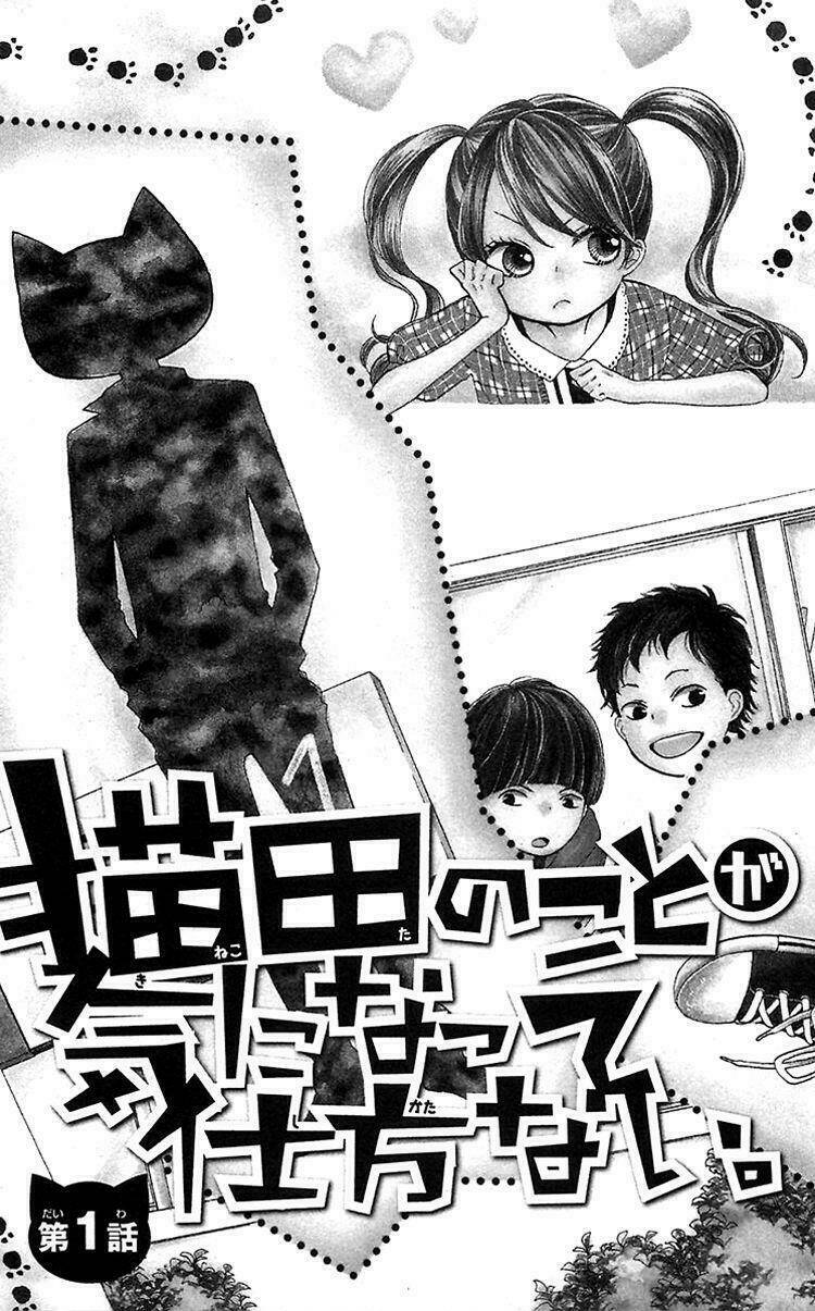nekota no koto ga ki ni natte shikatanai chapter 1.1 10