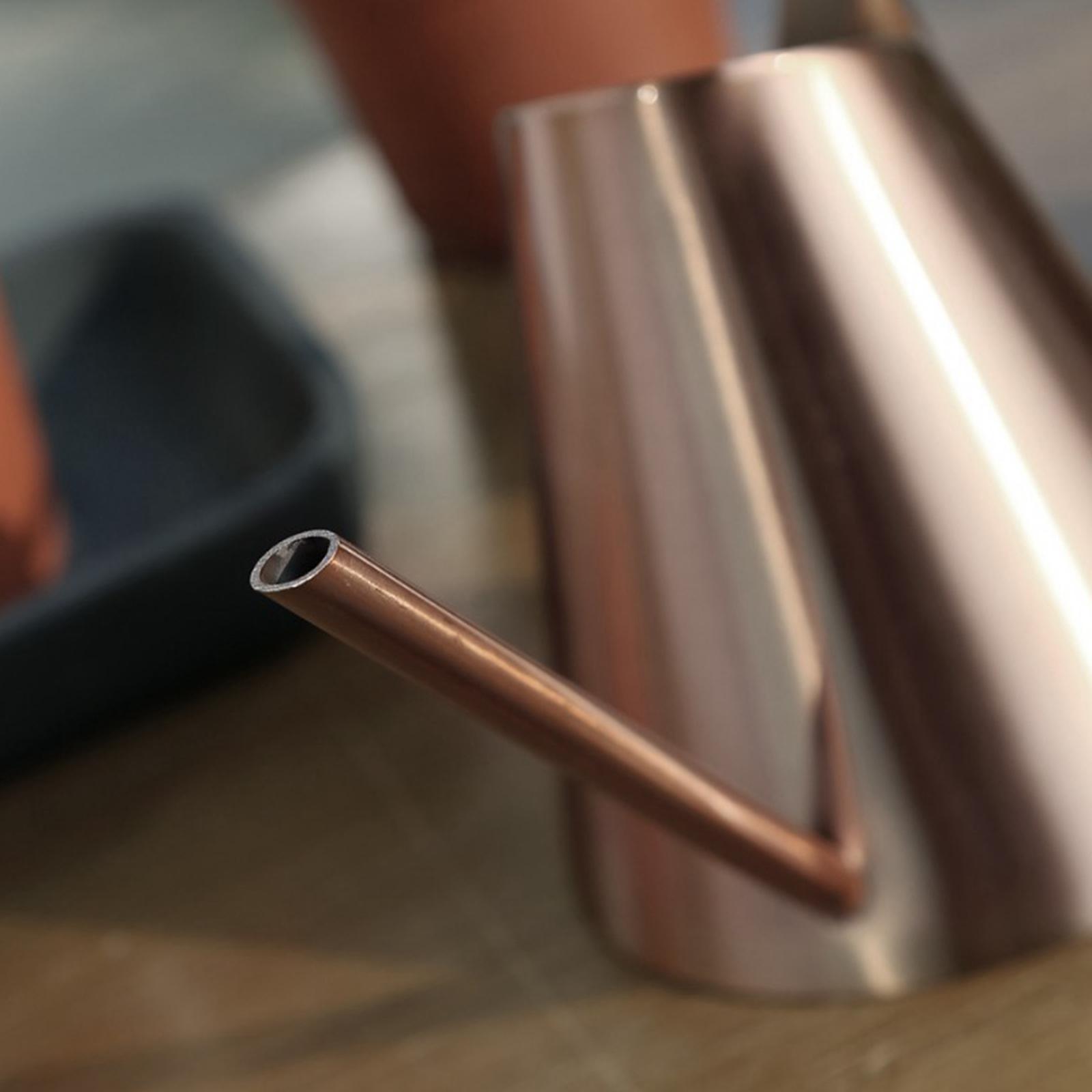 Small Indoor Watering Can for House Plants Stainless Steel Watering Pot with Long Spout